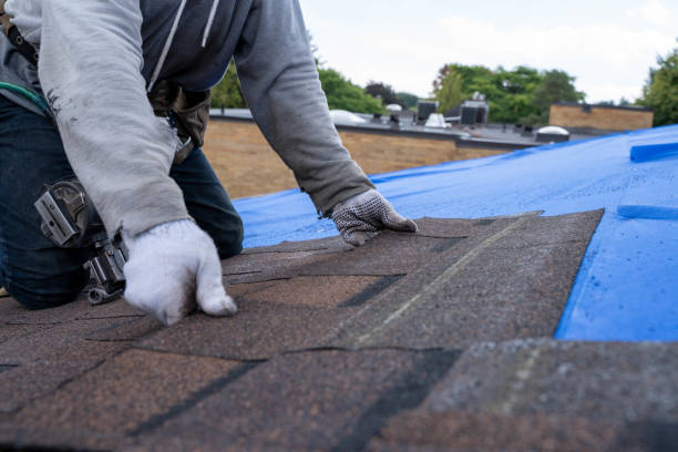 Professional Roofing Contractor in University Heights, IA