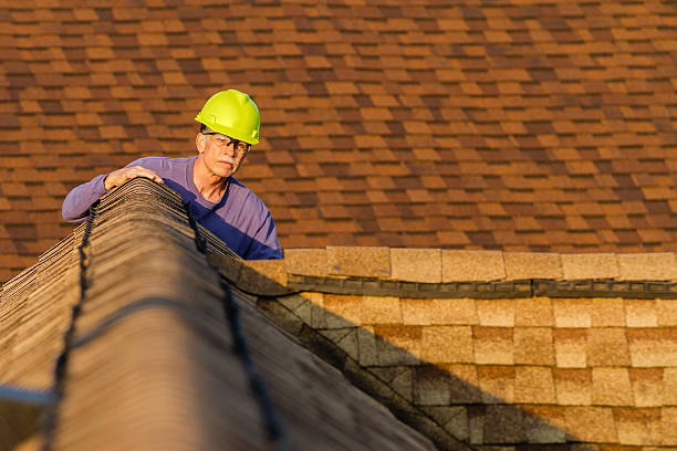 Roof Gutter Cleaning in University Heights, IA